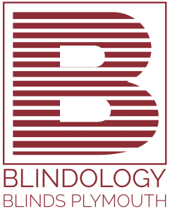 blindology logo